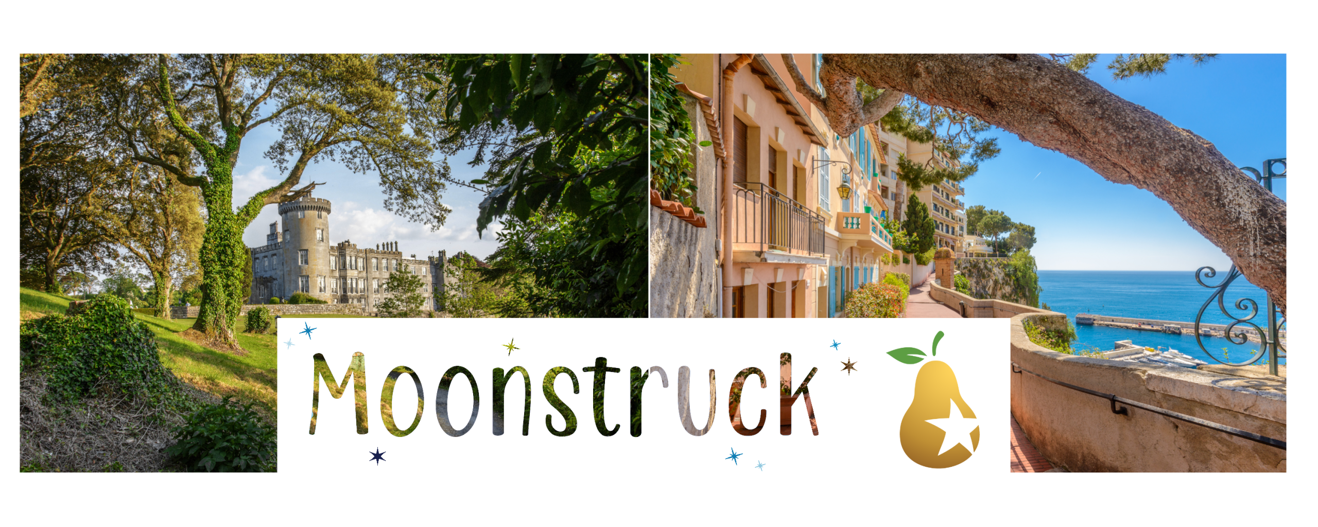 Auction Website Banner